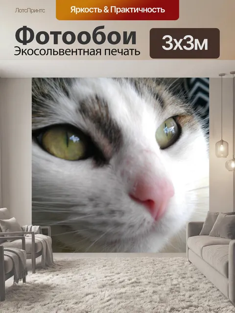 Фотообои Кошка