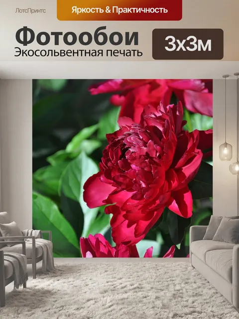 Фотообои Пионы