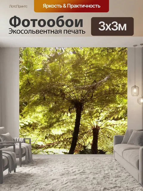 Фотообои Древесные папоротники