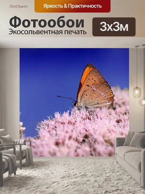 Фотообои Бабочка