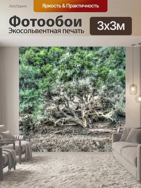Фотообои Красивое дерево