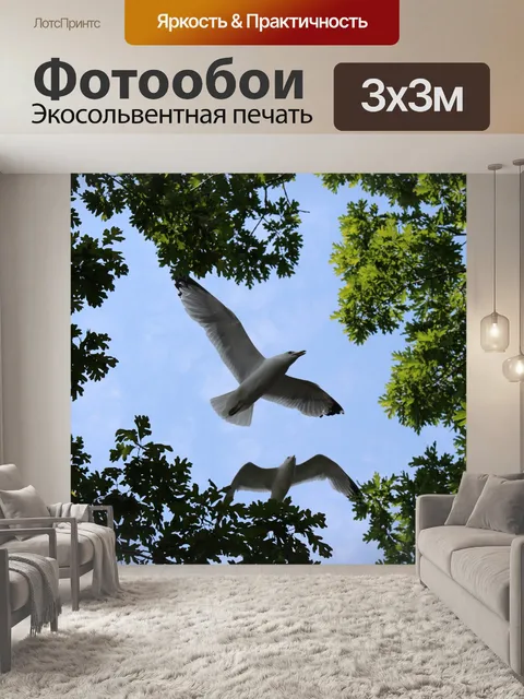 Фотообои Чайки над деревьями