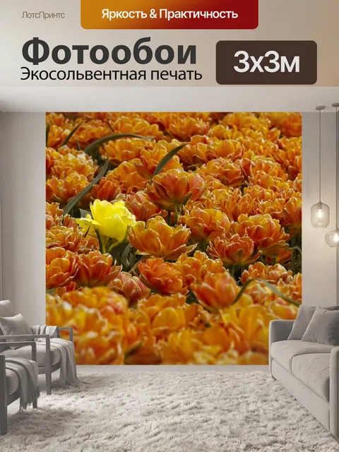 Фотообои Тюльпан