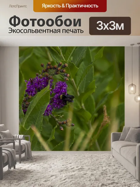 Фотообои пчела на полевых цветах
