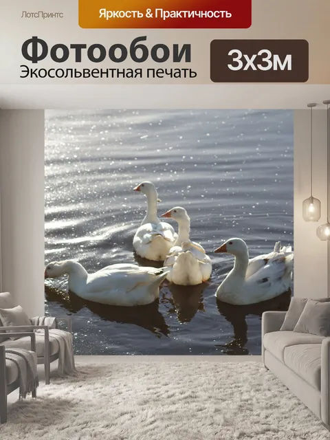 Фотообои Гуси