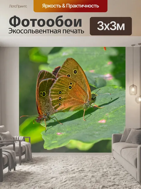 Фотообои Бабочки
