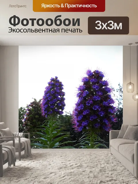 Фотообои Цветы Люпина