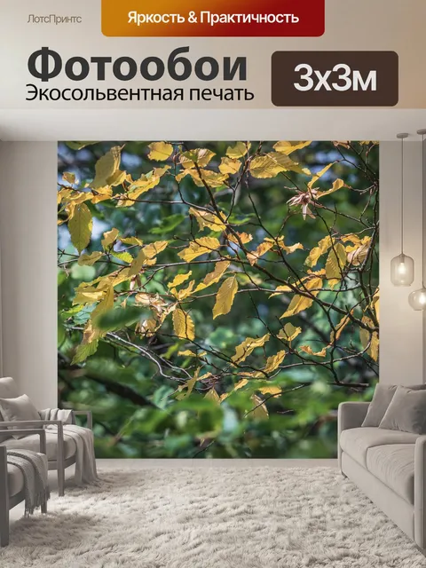 Фотообои Листья