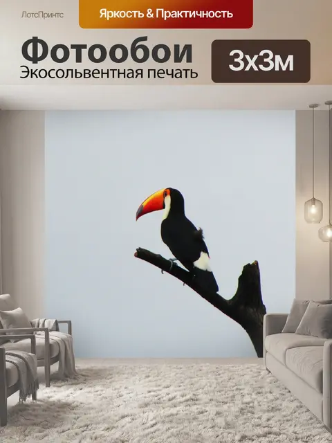 Фотообои Птиц