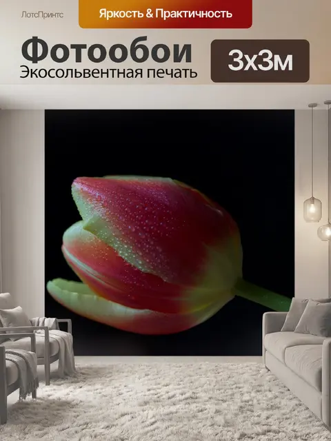 Фотообои Цветок