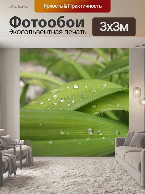 Фотообои Росы
