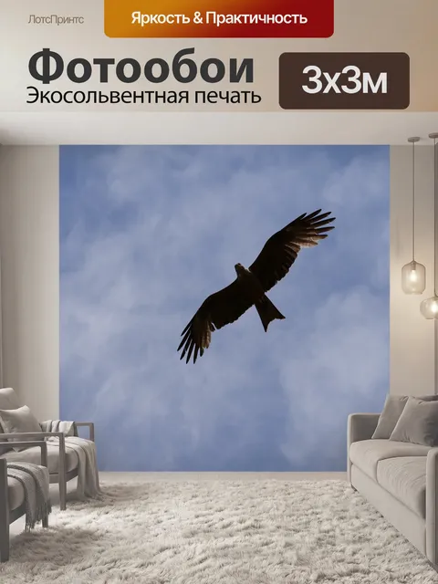 Фотообои Птица