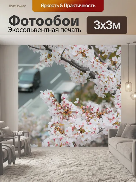 Фотообои 桜