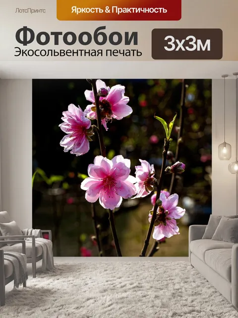 Фотообои Цветы