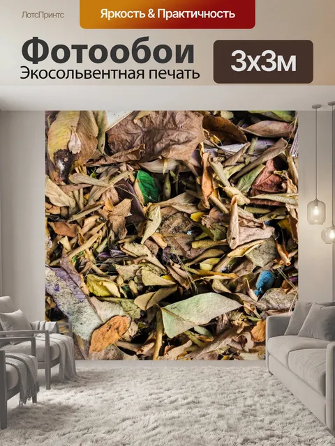 Фотообои Сухие листья фон