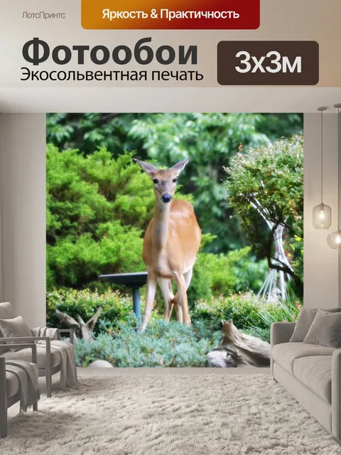 Фотообои Олень