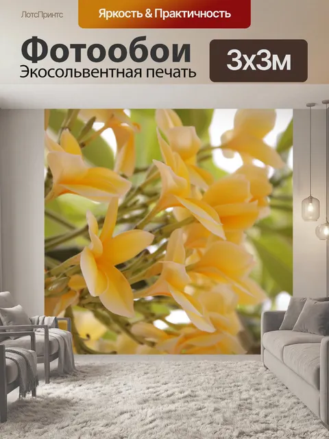 Фотообои Поздний вечер