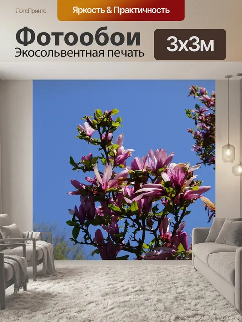 Фотообои Цветок