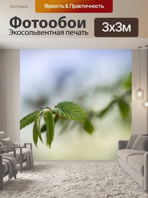 Фотообои Новые листья