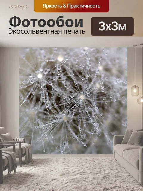 Фотообои Одуванчик