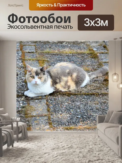 Фотообои Кошки 3