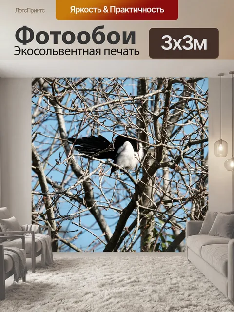 Фотообои Сорока болтает