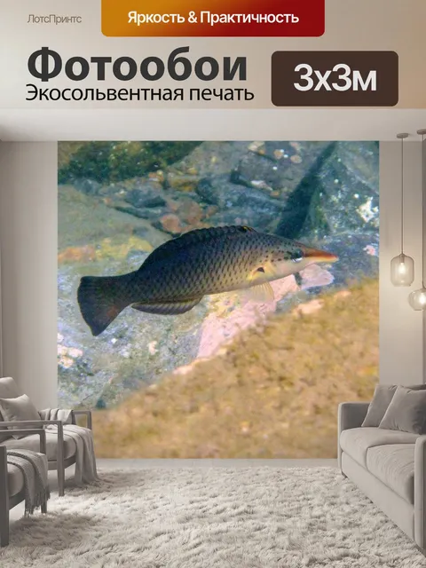 Фотообои Птичий губан