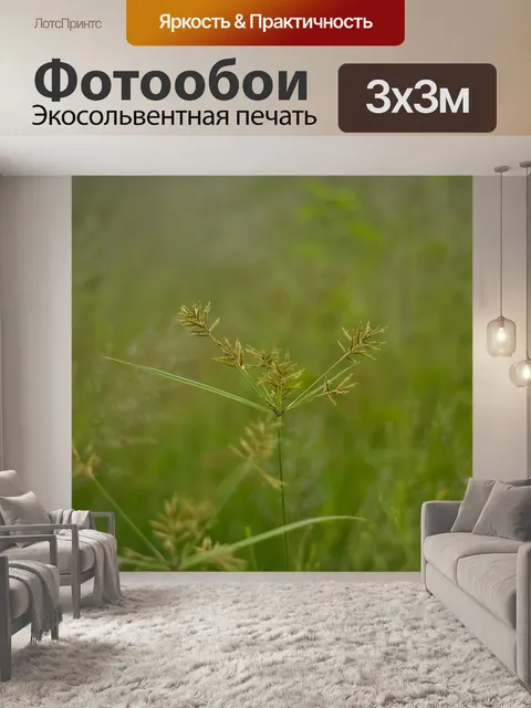 Фотообои Туман