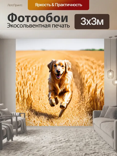 Фотообои золотистый ретривер, который весело бегает по открытому полю с золотой пшеницей, создавая чудесные волны