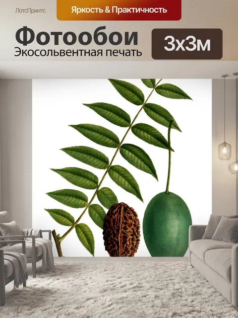 Фотообои Ореховое винтажное искусство