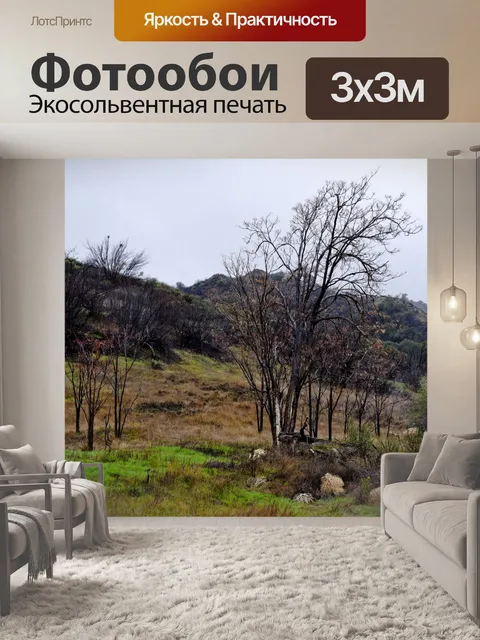 Фотообои Дождливый день Деревья