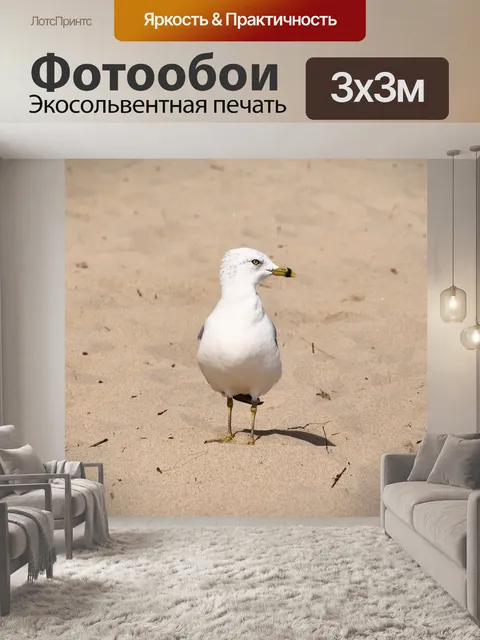 Фотообои Птица