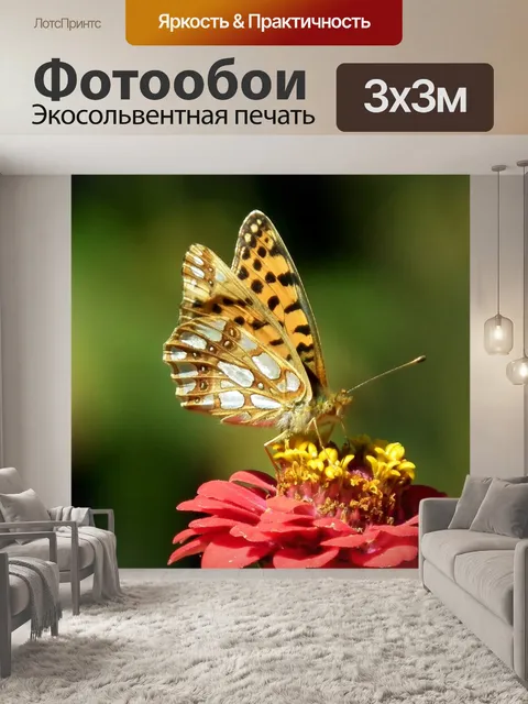 Фотообои Бабочка