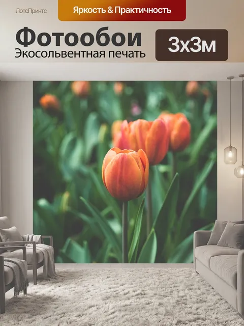 Фотообои Апельсин