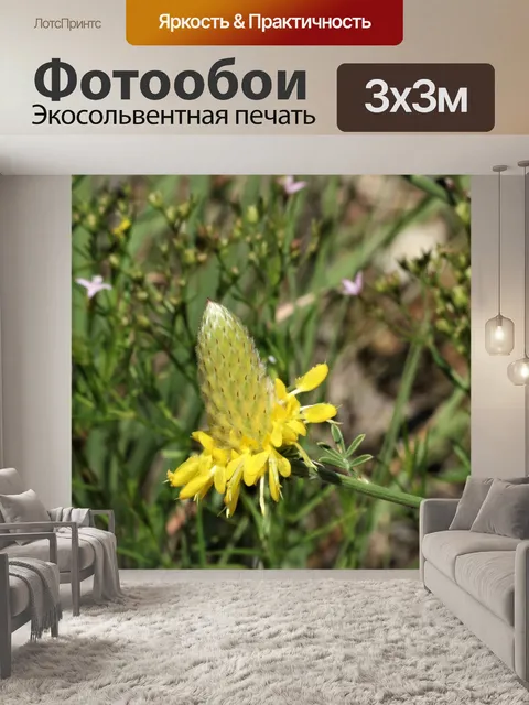 Фотообои Золотая прерия