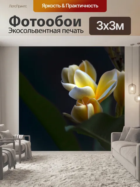 Фотообои Frangipani