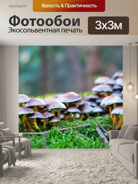 Фотообои Лес
