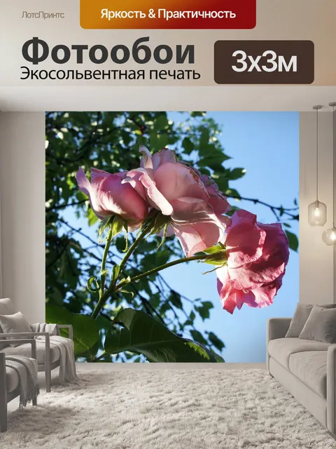 Фотообои Розы