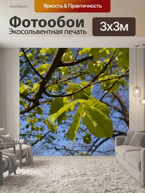 Фотообои Природа