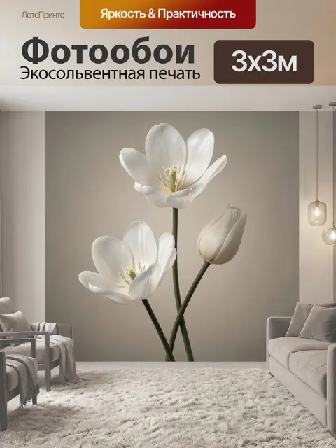 Фотообои Белые тюльпаны на нейтральном фоне