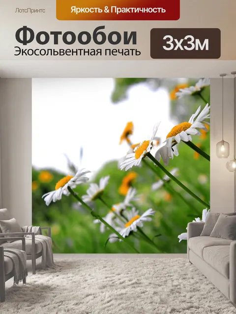 Фотообои Красивый