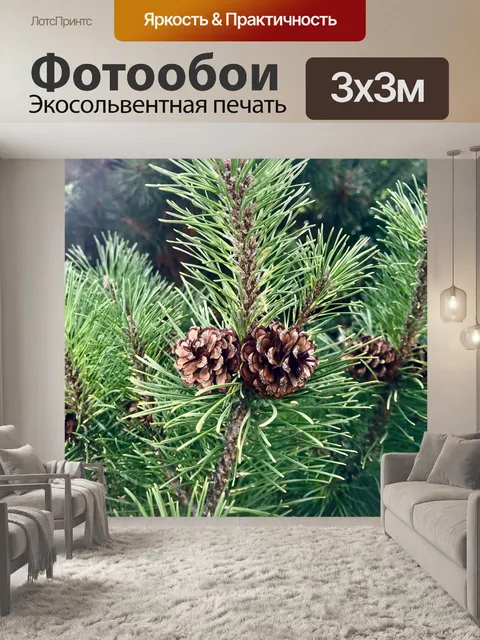 Фотообои Деревья