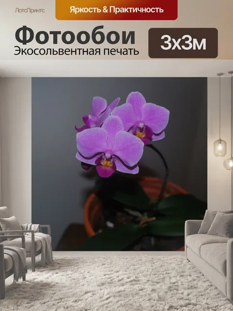 Фотообои Purple Orchid