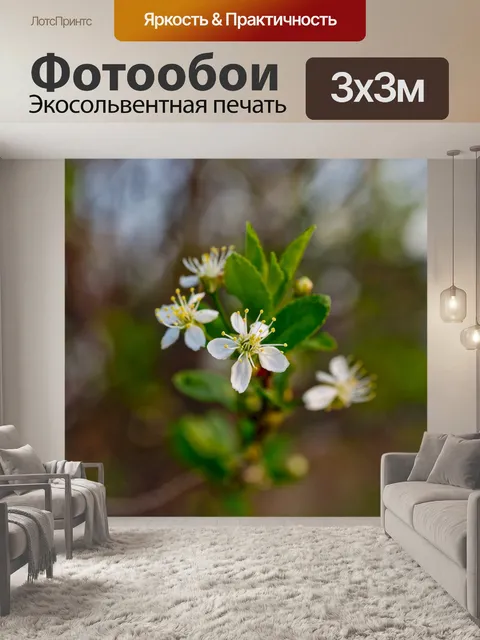 Фотообои Цветы