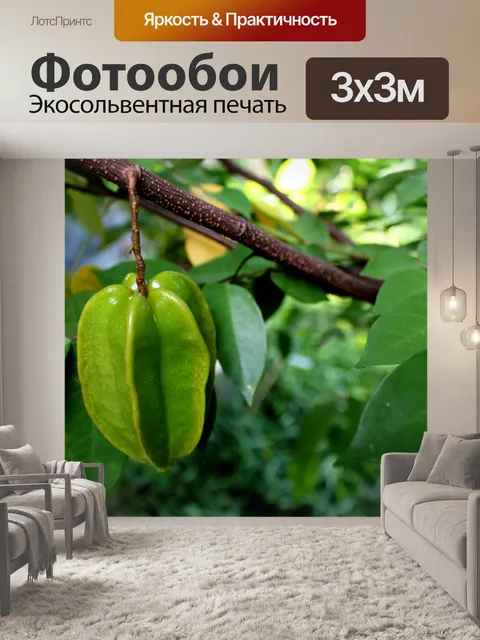 Фотообои Карамбола Звездные фрукты Бесплатное изо