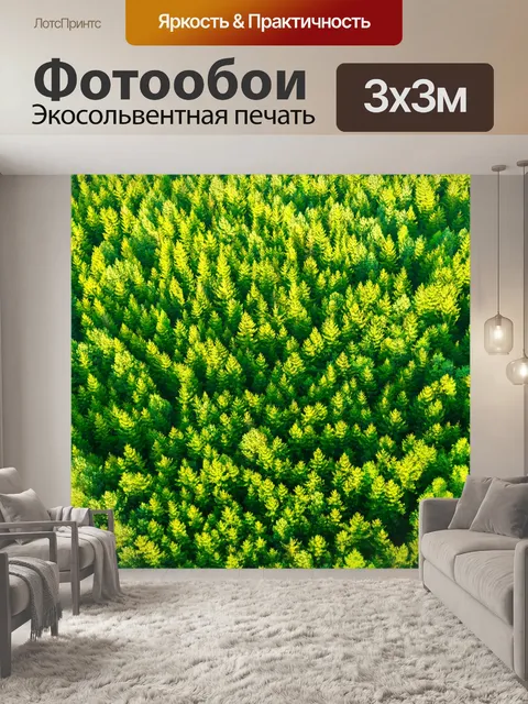 Фотообои воздушные верхушки деревьев