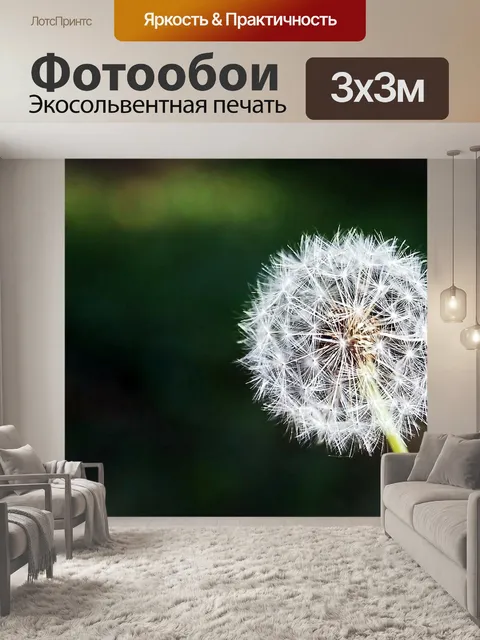 Фотообои Одуванчик