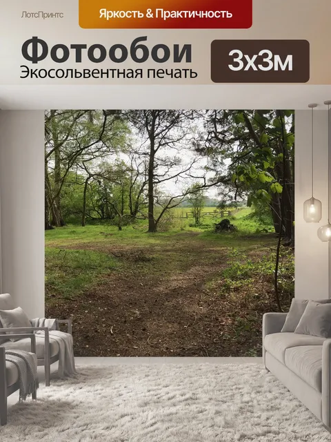 Фотообои Лесной массив