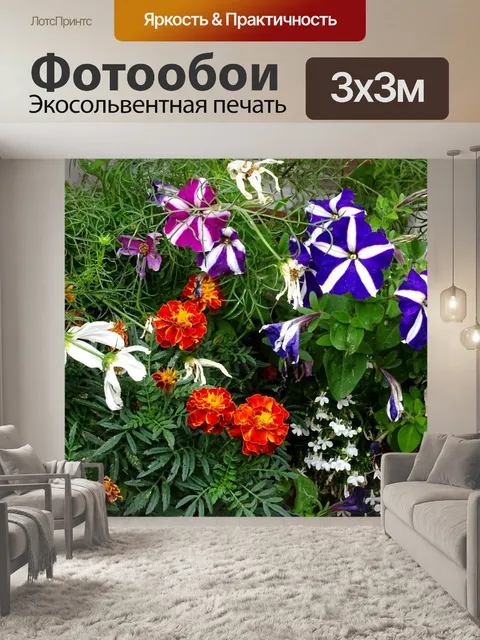 Фотообои Красочные цветы в горшках