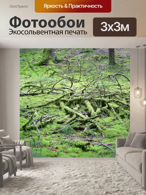 Фотообои Мох